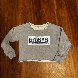 Gray Penn State Cropped Sweatshirt
